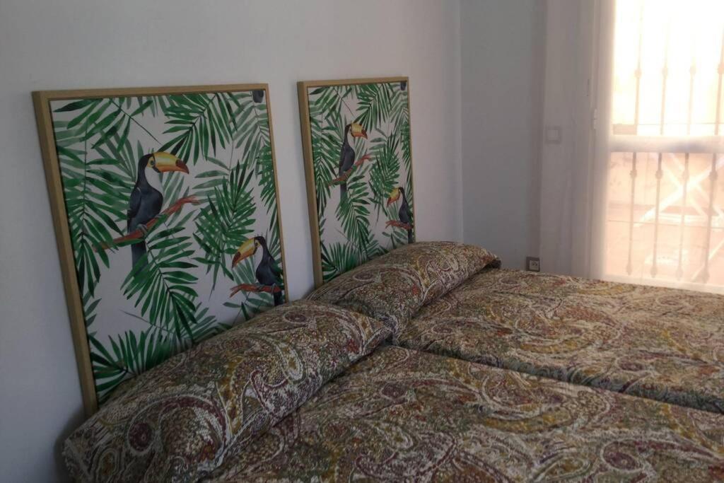 Duplex Muy Cerca De La Playa Y Del Centro Διαμέρισμα Ταρίφα Εξωτερικό φωτογραφία